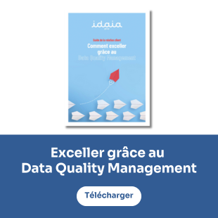 <center><strong>Un livre blanc dédié au<br>Data Quality Management</strong></center>